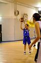 Basket 242053